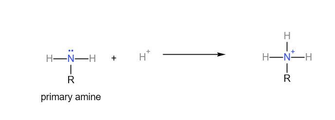 basicity of amines: Primary amine acts as a base by accepting a proton.