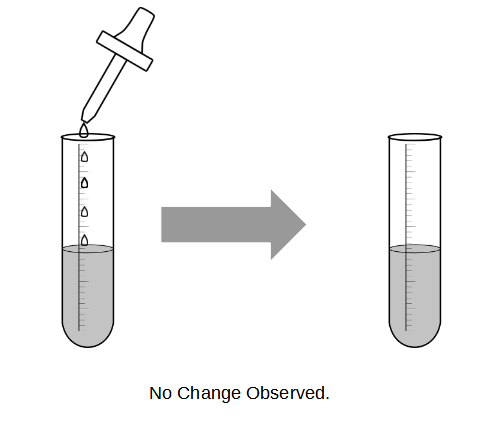 qualitative analysis for O Level Chemistry - how to describe the observations during a chemical test when there is no change occurring