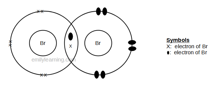 dot-and-cross diagram of covalent molecule, bromine (Br2)