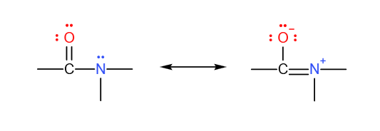 Resonance structure of amides, showing the delocalisation of the lone pair of electron on nitrogen into the C=O group. Hence, amides are not basic, but instead neutral.