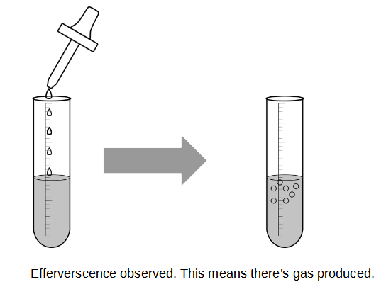 qualitative analysis for O Level Chemistry - how to describe the observations during a chemical test when there is bubbles or effervescence produced